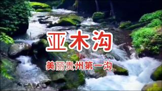 市政协“送春联下乡•助乡村振兴”活动走进柳疃镇